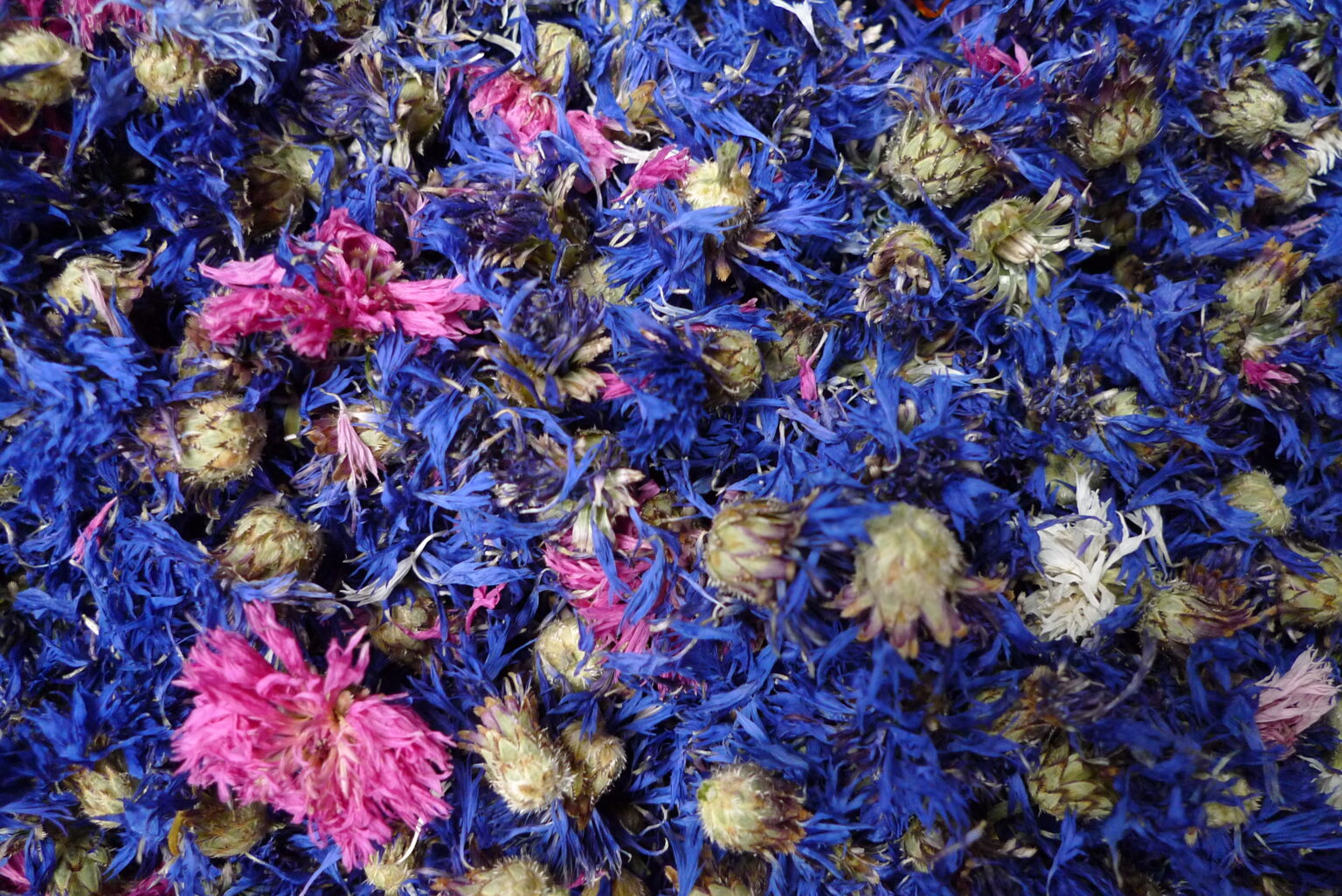 Fysalis - plantes aromatiques et médicinales - pétales de fleurs - bleuet séché